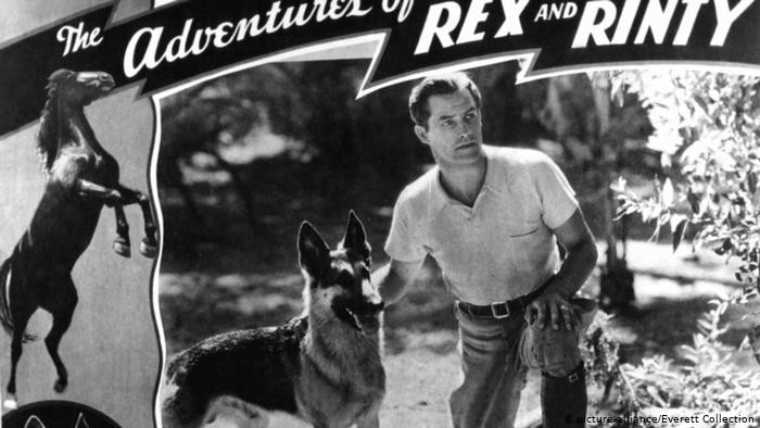 كلاب في مهمات خاصة 