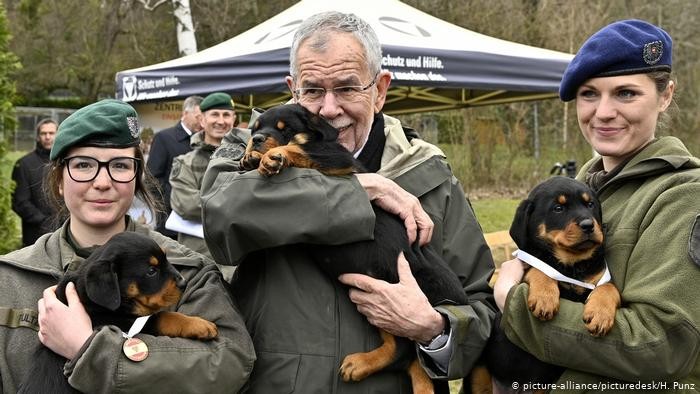 كلاب في مهمات خاصة 