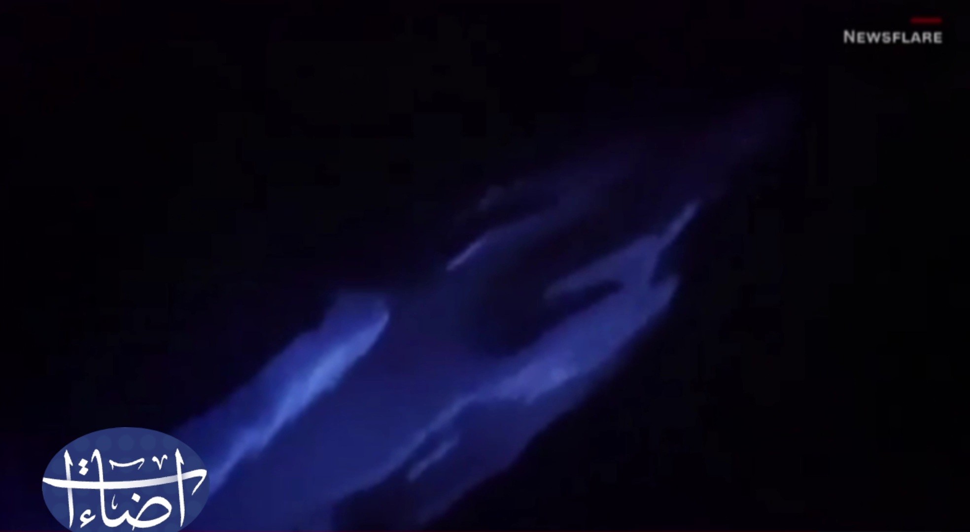 إضاءات/صور سمك قرش تضيء بالظلام