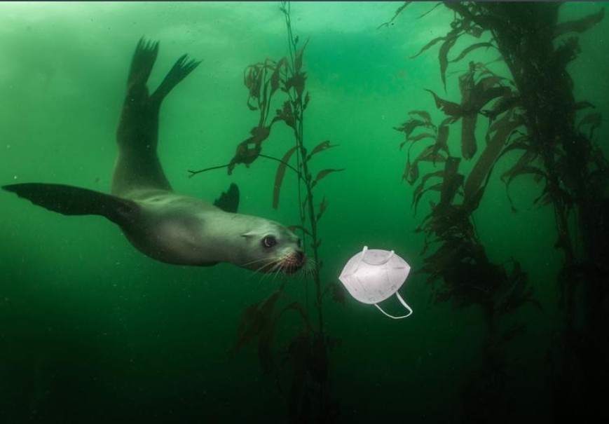 إضاءات شاهد أفضل الصور العالمية  لعام 2021 