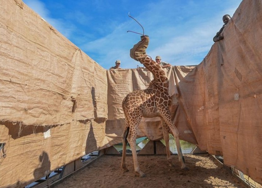 إضاءات شاهد أفضل الصور العالمية  لعام 2021 