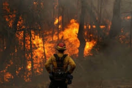 حرائق تركيا