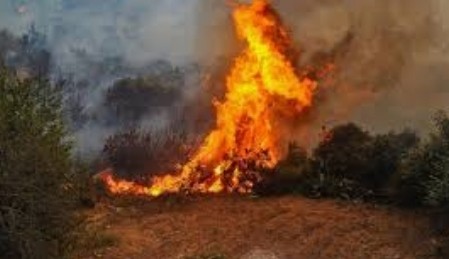 حرائق تركيا