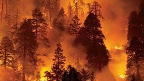 حرائق تركيا